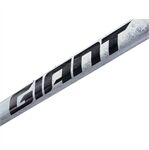 Khung xe đạp Giant TCR Advanced SL Frame And Fork